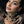 Load image into Gallery viewer, Dynasty Eliza Crystal &amp; Jet Choker
